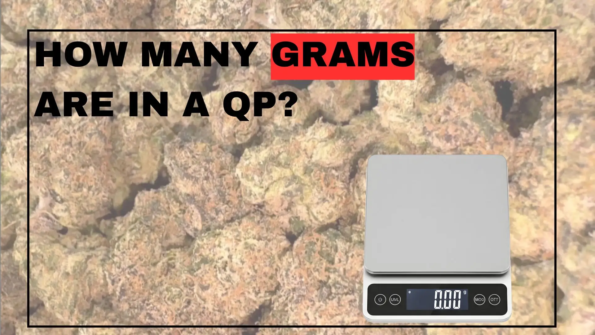 How Many Grams Is A QP?