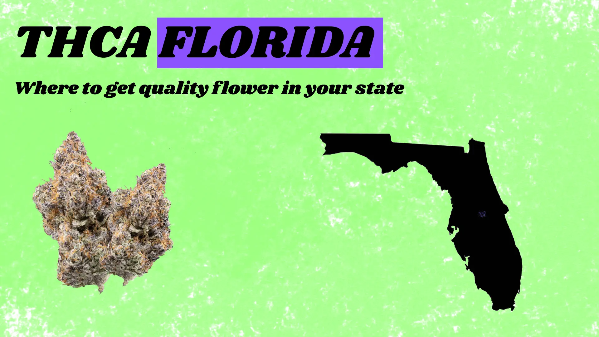 THCA Florida Buying Legal In 2026