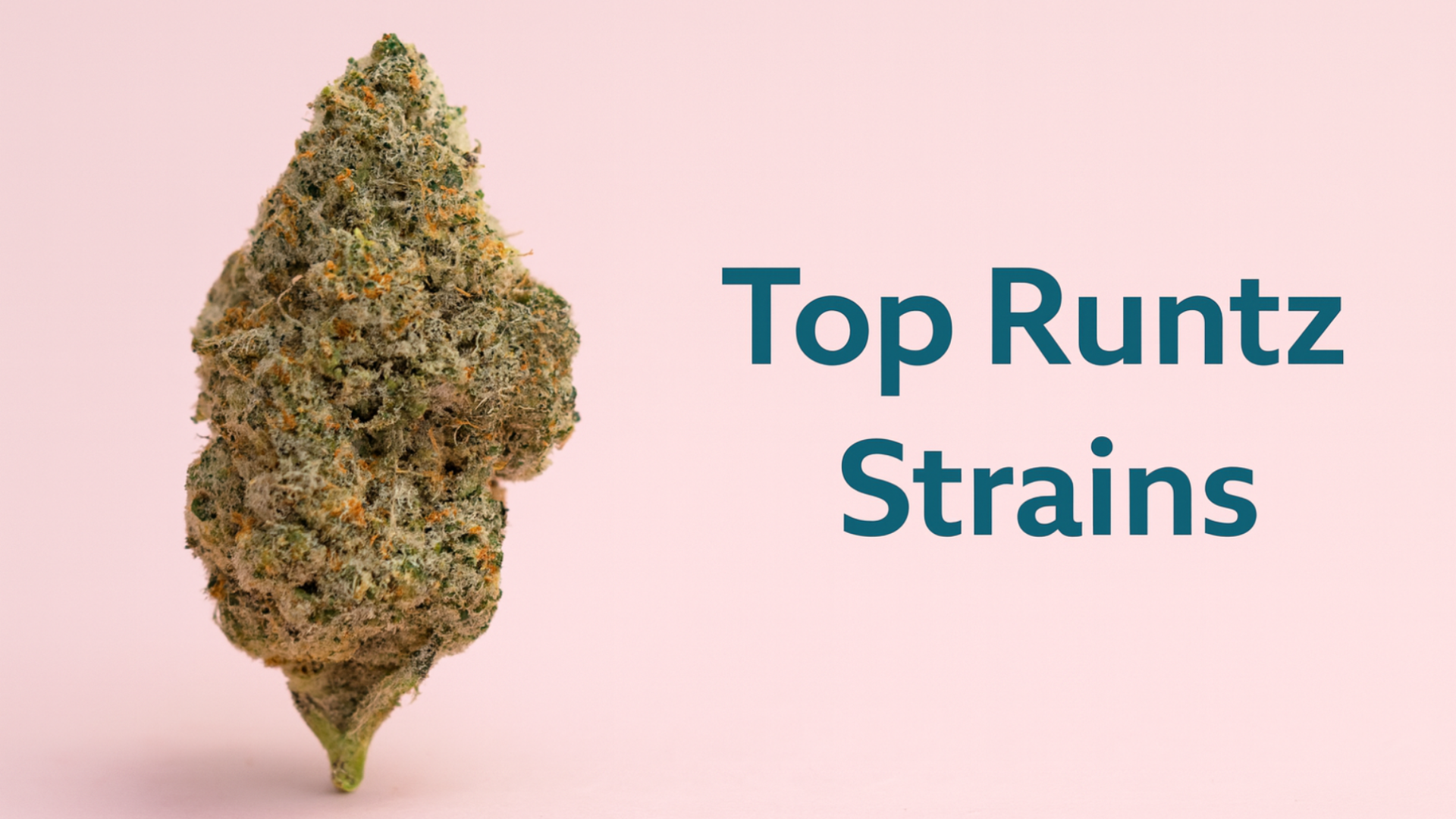 Best Runtz Strains: The Ultimate List🌈🔥